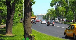 Посадка деревьев и кустарников в Переславле-Залесском — стоимость от 1245 руб.